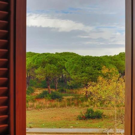Precioso Apartamento A 700 M Del Mar Chiclana de la Frontera Esterno foto