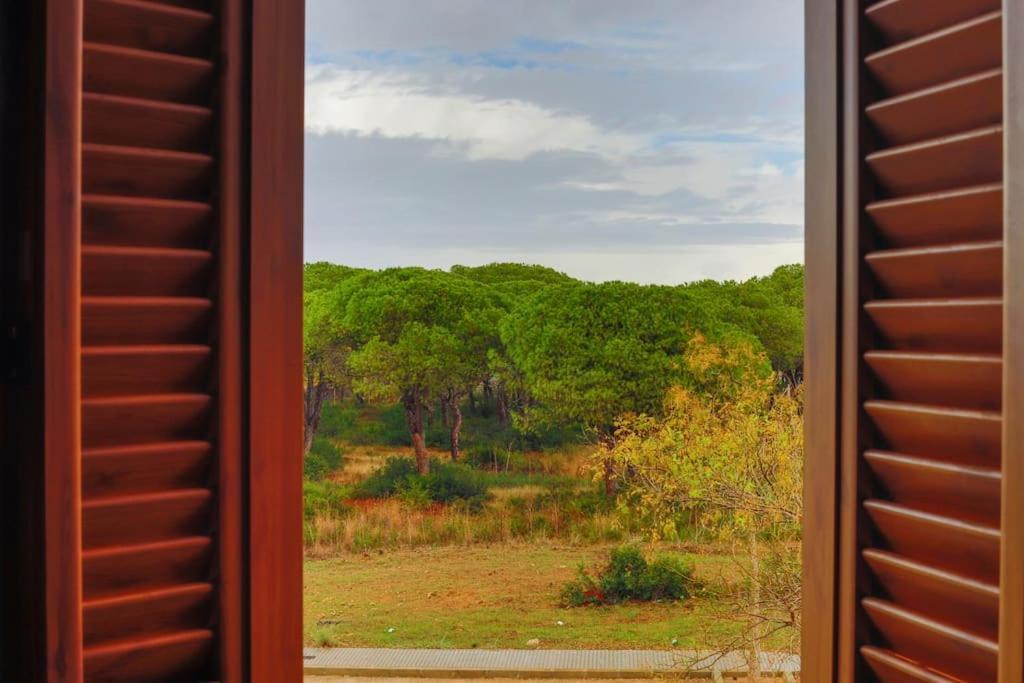 Precioso Apartamento A 700 M Del Mar Chiclana de la Frontera Esterno foto